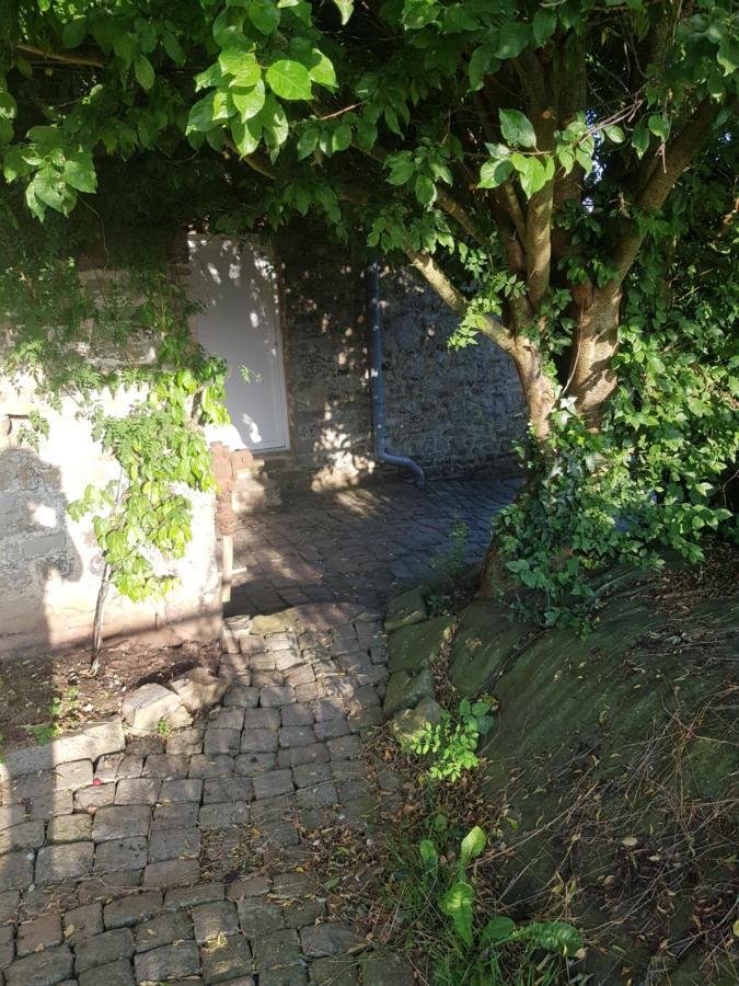 Elevage De La Hurie Saint-Nicolas-de-Pierrepont Kültér fotó